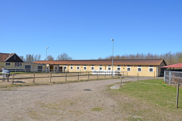 Hästanläggning 8